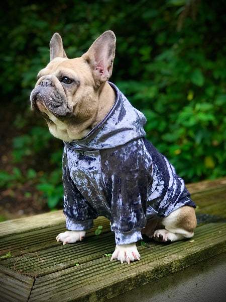 Pet Dog / Cat Hoodie For Small Medium Larger Dogs PDF Sewing Pattern