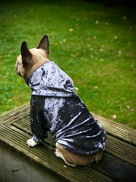 Pet Dog / Cat Hoodie For Small Medium Larger Dogs PDF Sewing Pattern