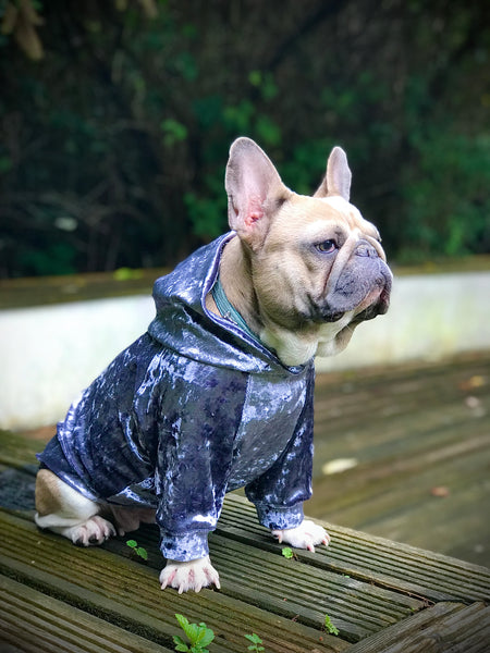 Pet Dog / Cat Hoodie For Small Medium Larger Dogs PDF Sewing Pattern
