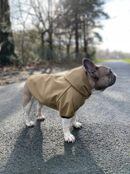 Sudadera con capucha para perro/gato para perros pequeños, medianos y grandes, patrón de costura PDF