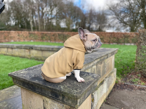 Sudadera con capucha para perro/gato para perros pequeños, medianos y grandes, patrón de costura PDF