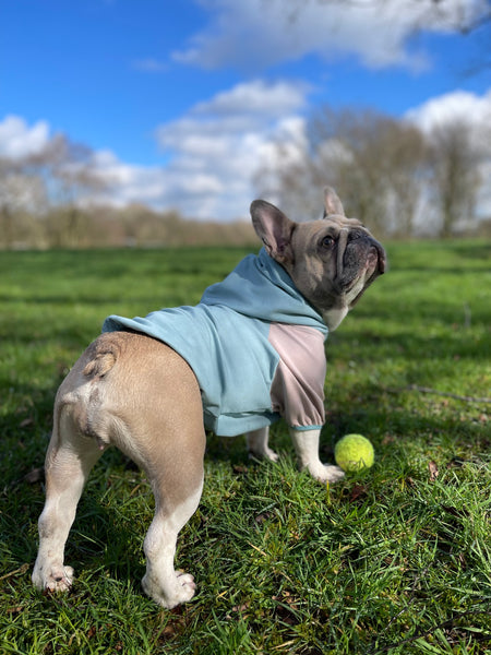 All-Inclusive 20-in-1 Sewing Pattern Bundle