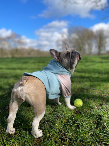 Sudadera con capucha para perro/gato para perros pequeños, medianos y grandes, patrón de costura PDF