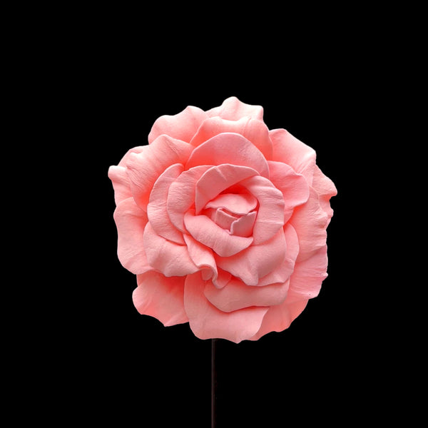 Mirabel Rose Foam Flower Pattern