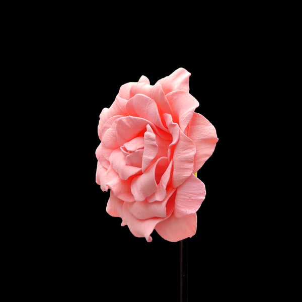 Patrón de flores de espuma de rosa Mirabel